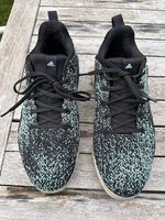 Golfschuhe Gr. 42 (neuwertig)