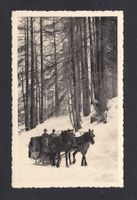 CLAVADEL Postkutsche/Schlitten, Phot. Meerkämper Davos