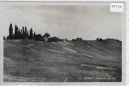 Bevaix - L'Abbaye et le vignoble