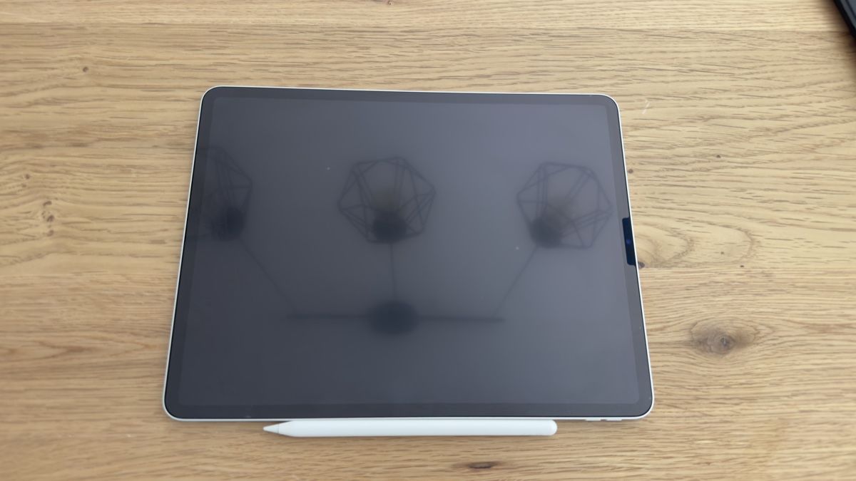 Apple Tablet PC: Ipad Pro (12.9 inches) - 6th generation – Gebraucht aus Luzern von Lellicl