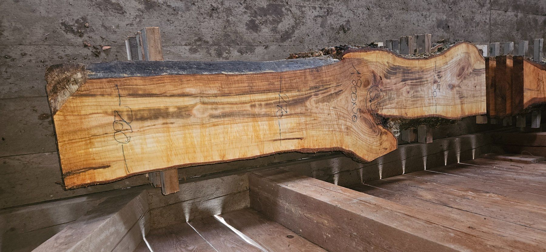 Articoli in legno: Kirschbaumbretter – Usato da Vielbringen Worb venduto da lua_cm7v 3