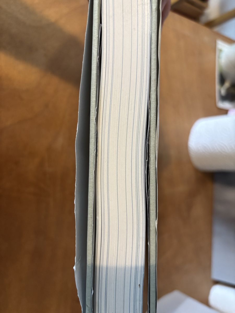 Libri: Das grosse Sansibar Buch. Collection Rolf Heyne – Usato da Zürich venduto da WWehrle 5