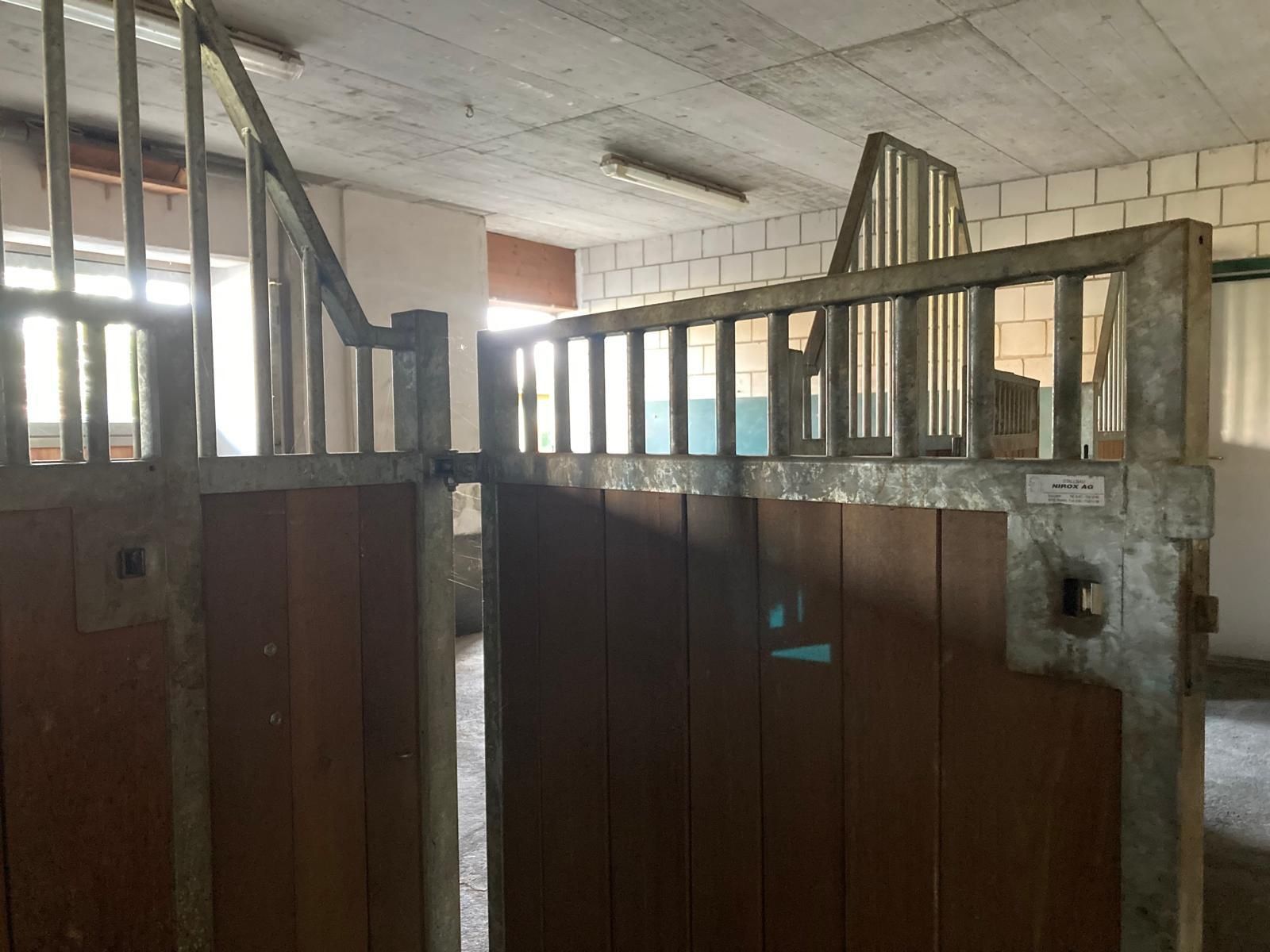 Stallzubehör: Pferdeboxen / Pferde Stall Boxen, massiv und robust – Gebraucht aus Olten von Janie8601 2