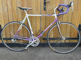 BATTAGLIN EDELRENNER ITALIA FAHRBEREIT REVIDIERT TOP