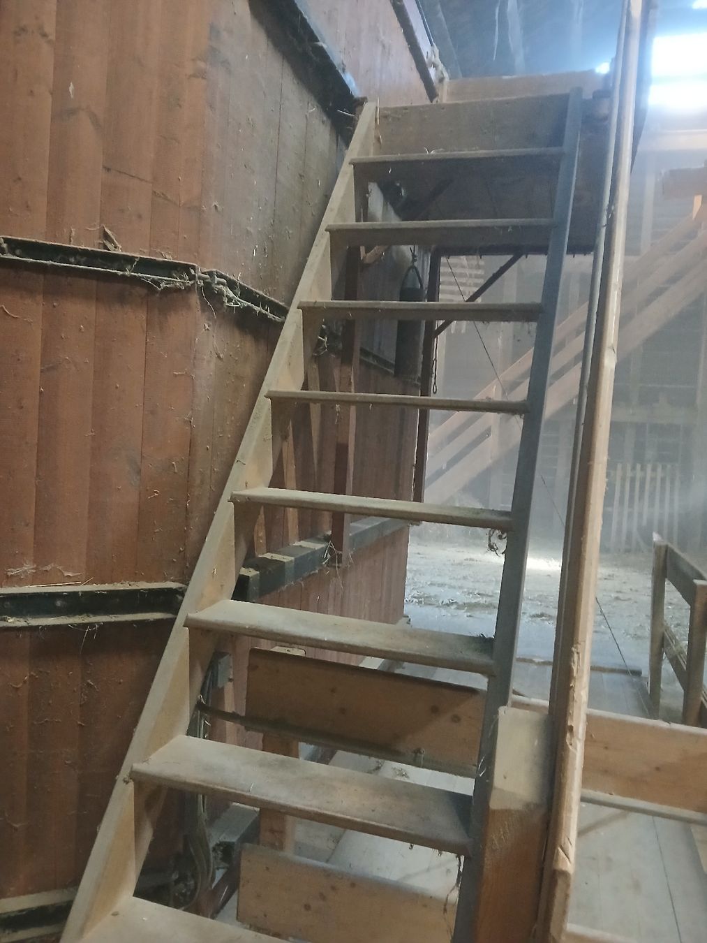 Scale: Holztreppe, Treppe – Usato da Sissach venduto da ilmayore 3