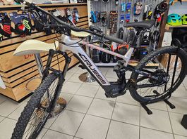 E-MTB Fully mit 95nm