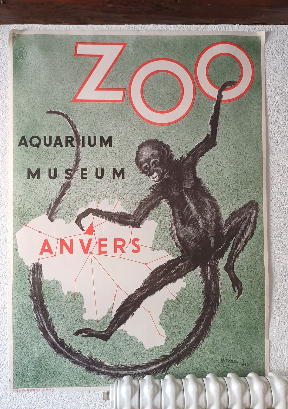 Foto & Immagini: Affiche/poster 1954 Zoo Anvers – Usato da Neuchâtel venduto da arthur9797