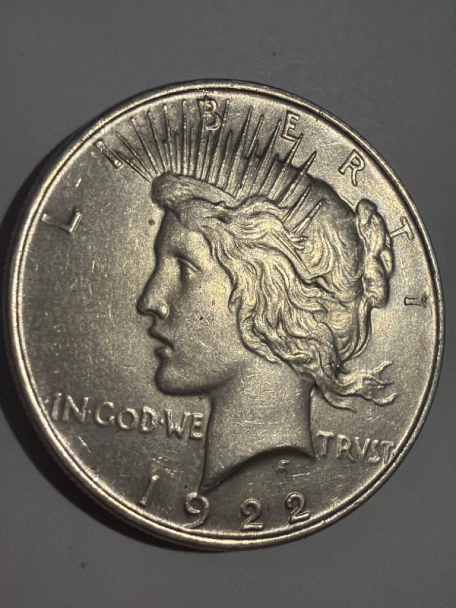 Tutti le monete: One Dollar Liberty – Usato da Hittnau venduto da Pat_yl7f 3