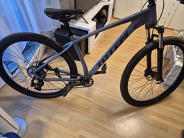 mountainbike 29 Totem
