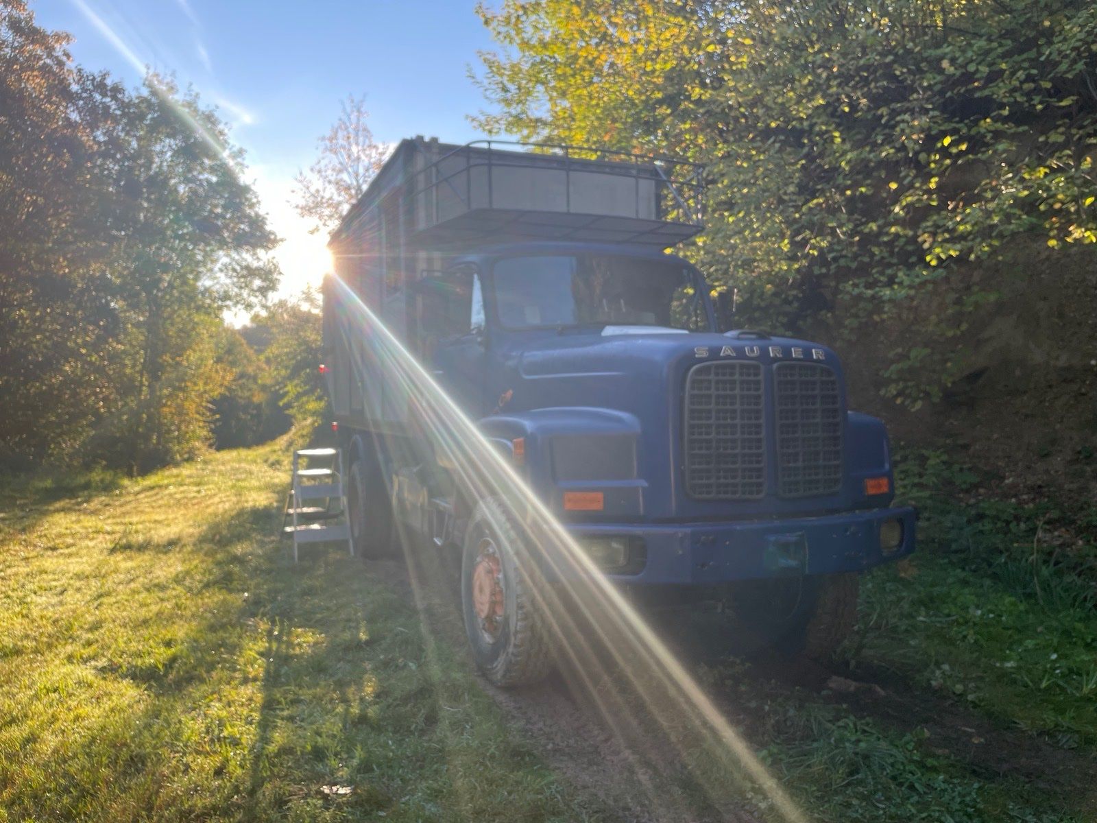 Saurer Lastwagen: Saurer D290 BN 4x4 – Gebraucht aus Urdorf von xtb_q8lx 4