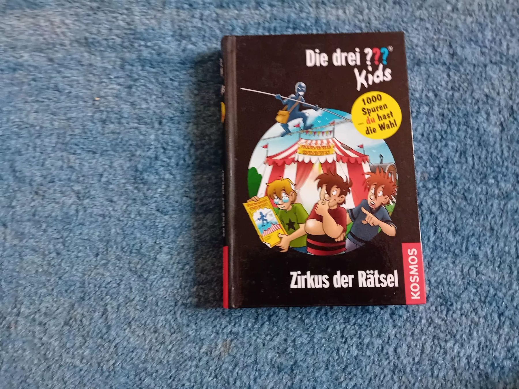 Libri: Die drei ??? Kids Bucher – Usato da Veltheim AG venduto da Andreavonder 2