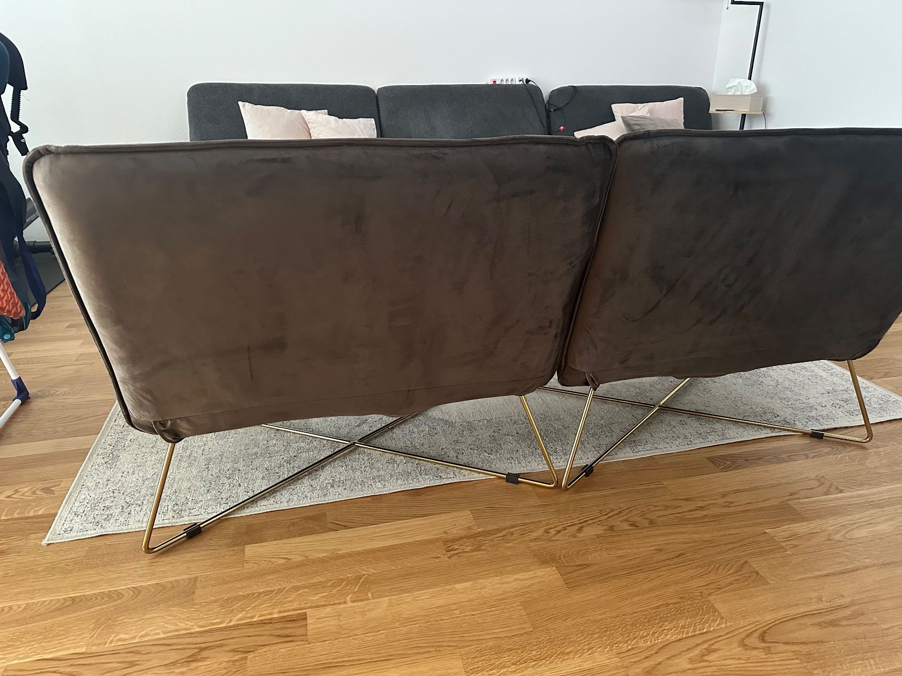 Poltrone: Livetastic SESSEL in Samt Braun 2 Stücke – Usato da Zürich venduto da boma.dr 3