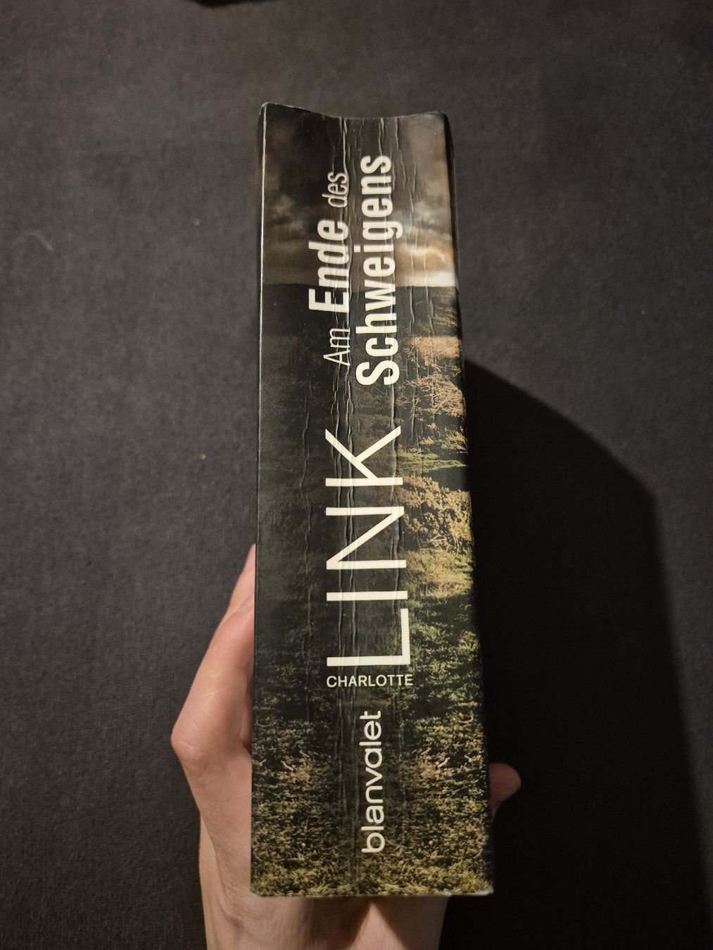 Libri: Charlotte Link - Am Ende des Schweigens – Usato da Nürensdorf venduto da luc_9ksf 2