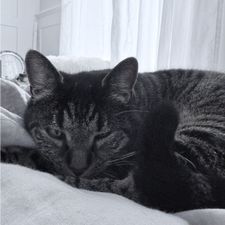 Profile image of Leonie-05