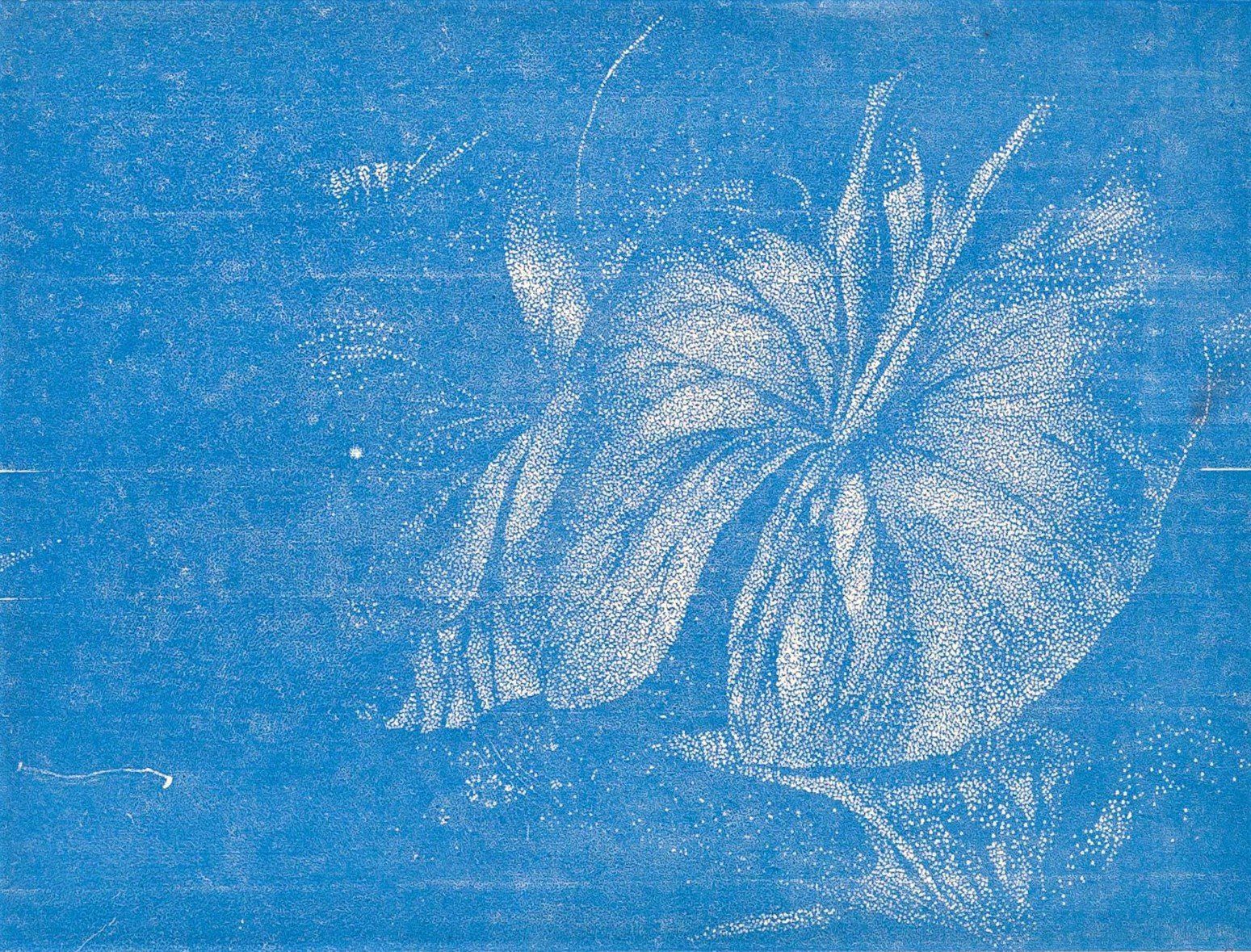Foto & Immagini: Franz Gertsch .Farbgrafik  . – Usato da Allschwil venduto da ART21