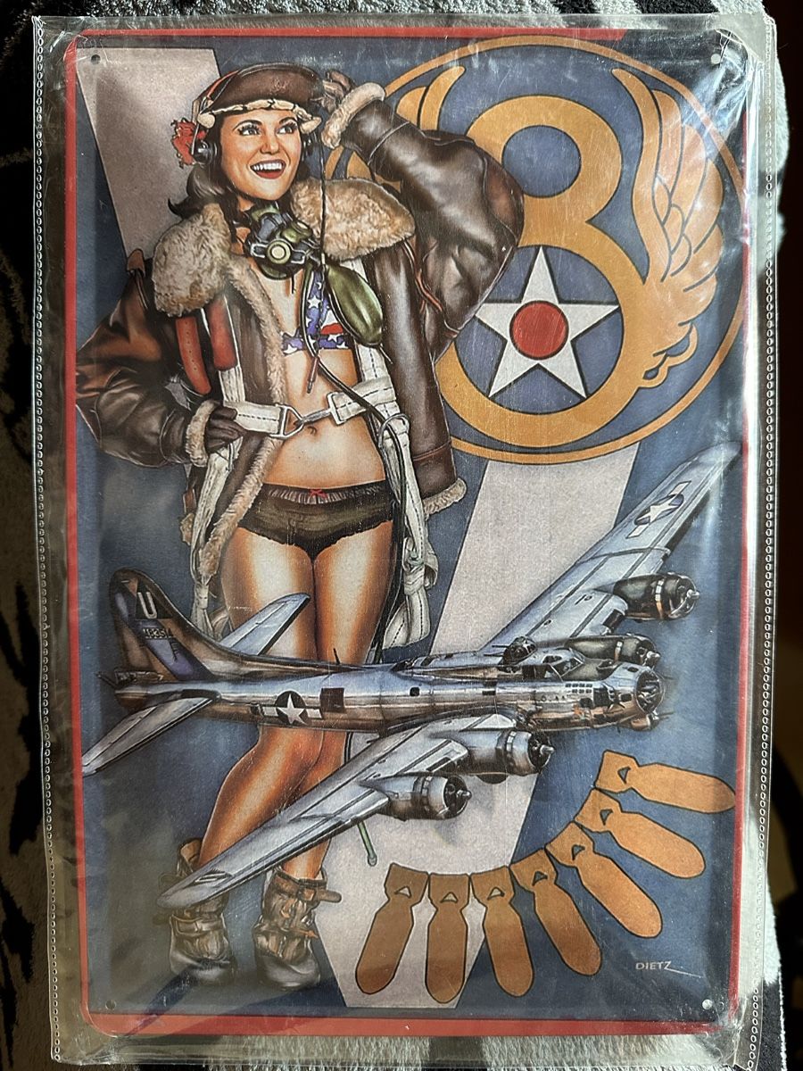 Insegne: Pin up navy army bomber – Nuovo (secondo la descrizione) da Reinach AG venduto da rares75