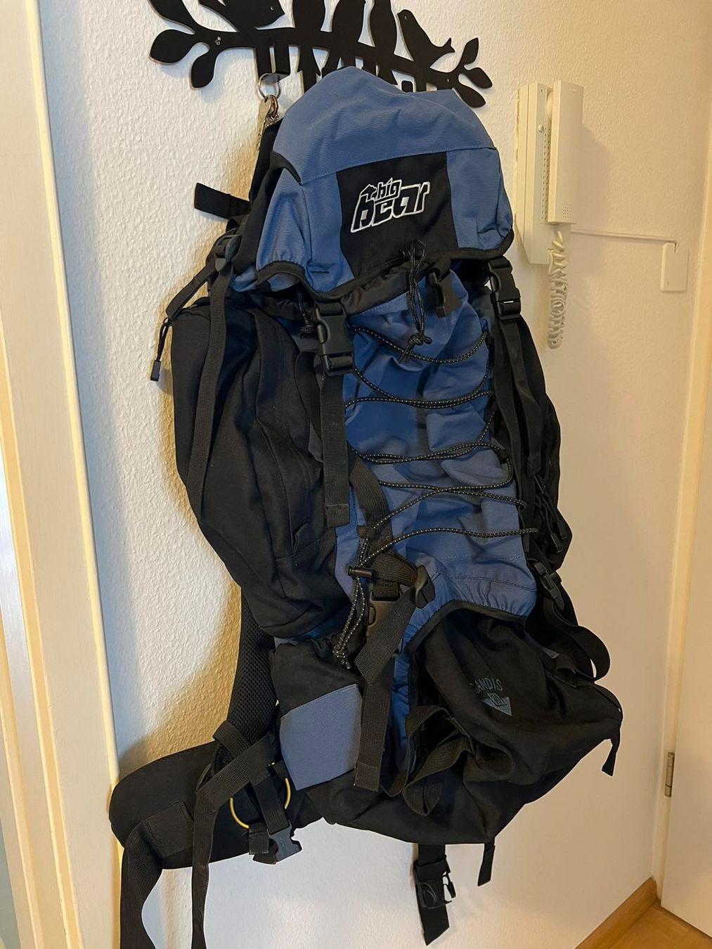 Zaini: Big Bear Gandis 70L - Wanderrucksack – Usato da Basel venduto da M.M_ 1