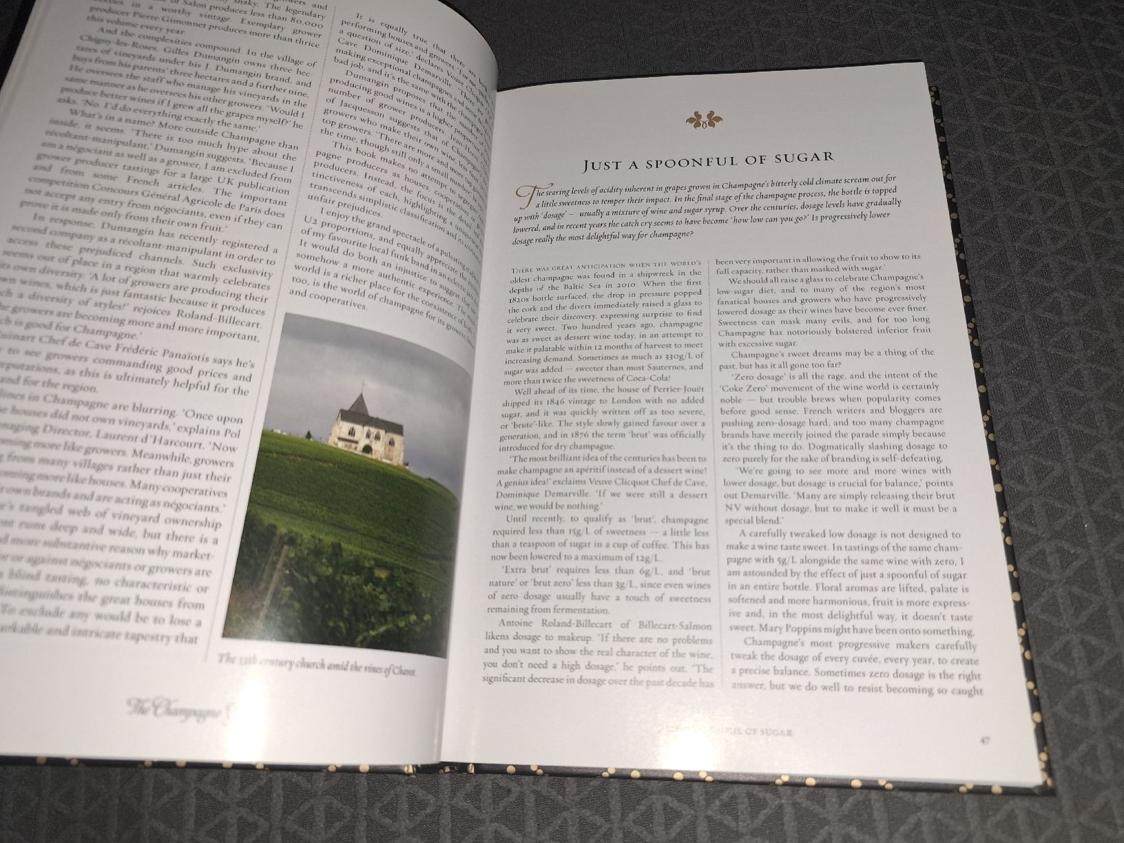 Libri: Champagne Guide 2014-2015 by Tyson Stelzer - Hardcover – Nuovo (secondo la descrizione) da Adliswil venduto da kurin 2