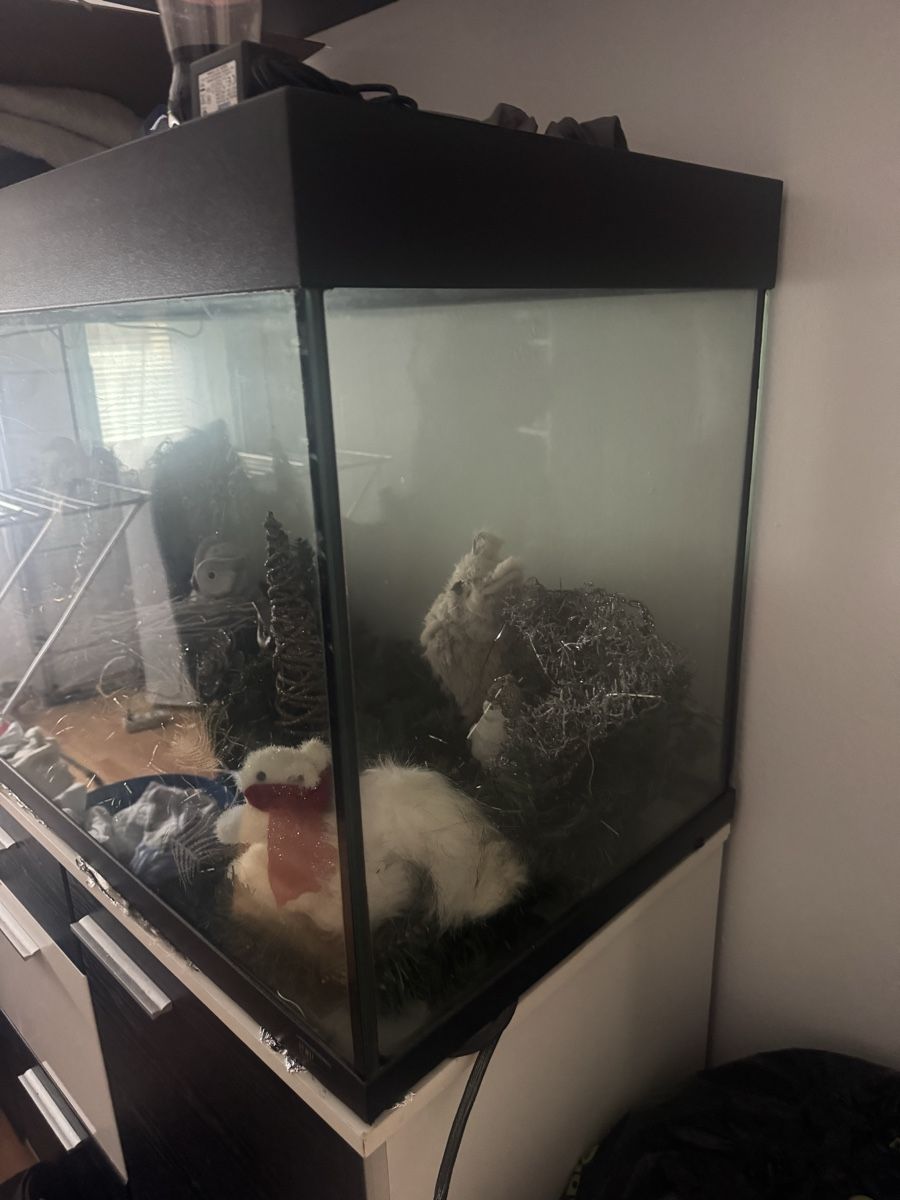Aquarium: Aquarium – Gebraucht aus Stansstad von noe_x8pr 3