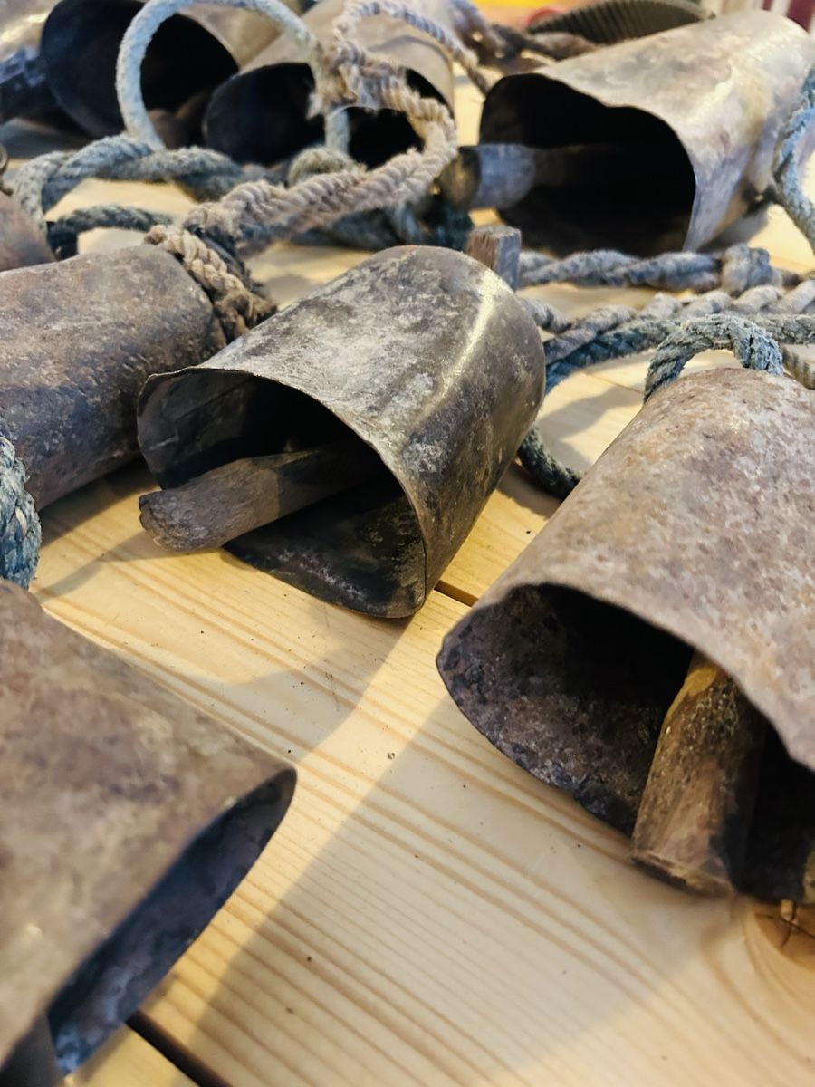 Campanacci mucche: Antique Ziegen und Kuh Glocken.  – Usato da Zürich venduto da KuduKing 1