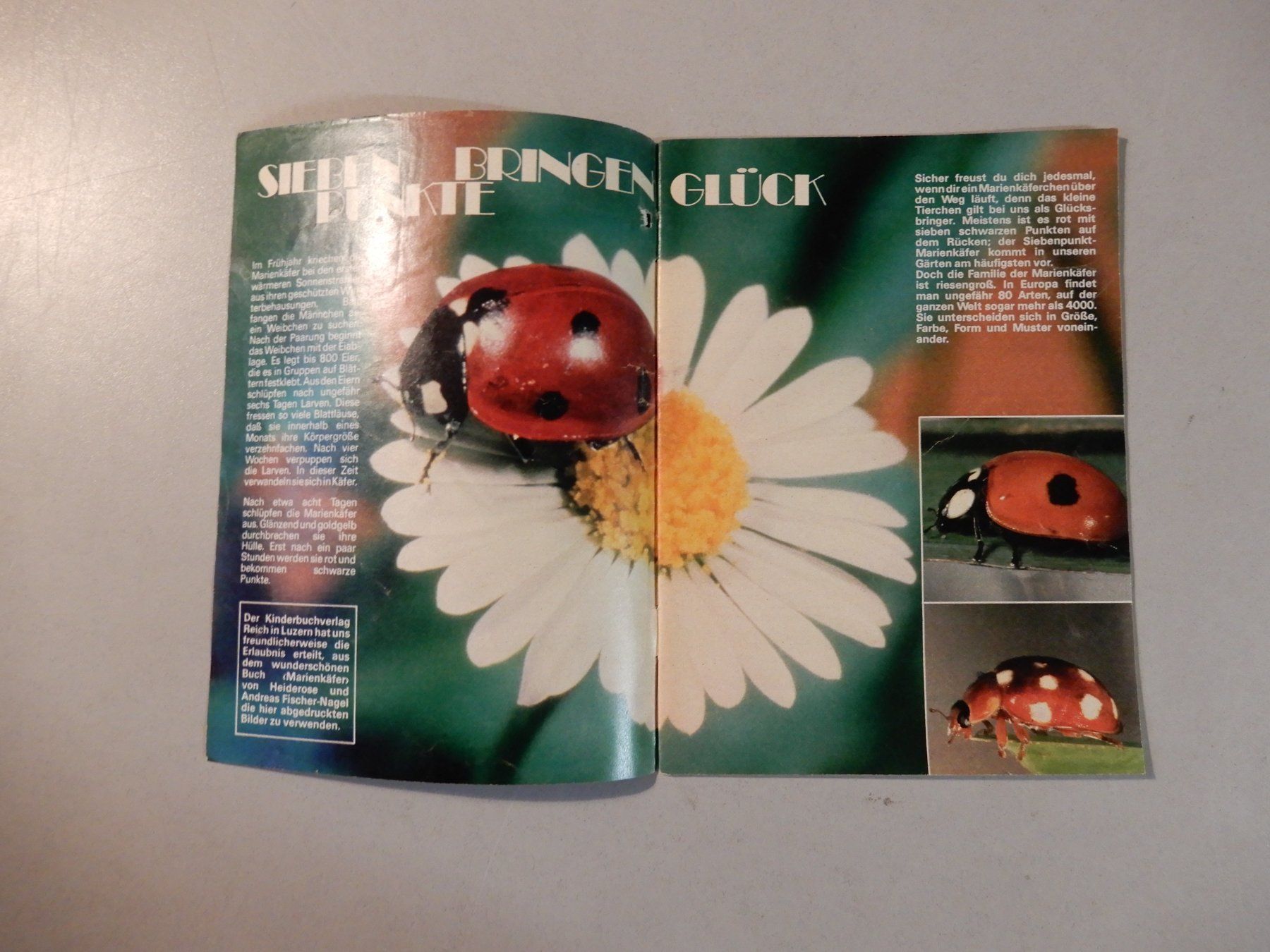 Riviste & Magazine: JUNIOR Kindermagazin, Mai 1982, Nr. 5 – Usato da Erstfeld venduto da Mario_boe0 1