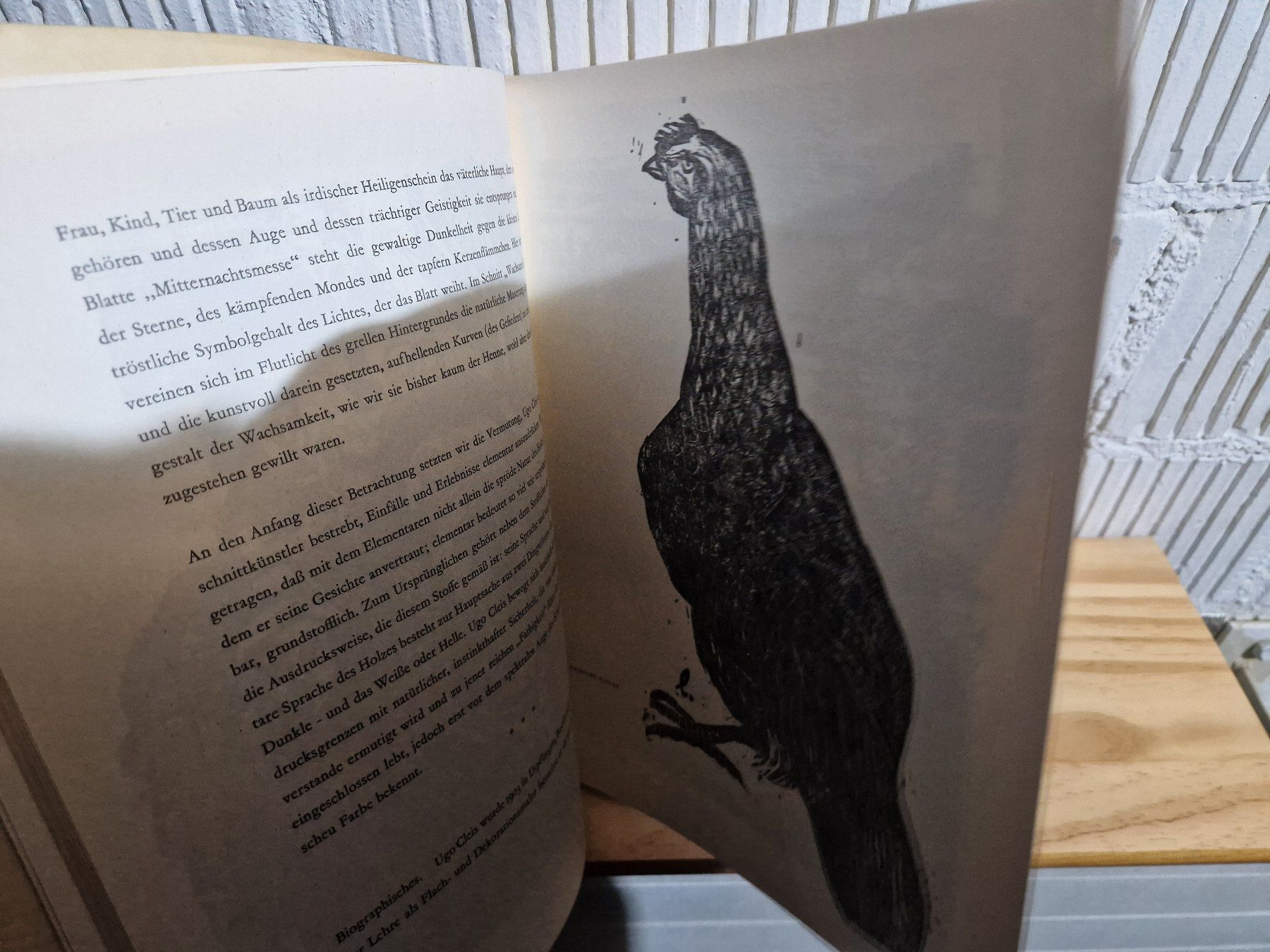 Libri: Holzschnitte Künstler der Gegenwart – Usato da Seedorf BE venduto da Stibutz 3