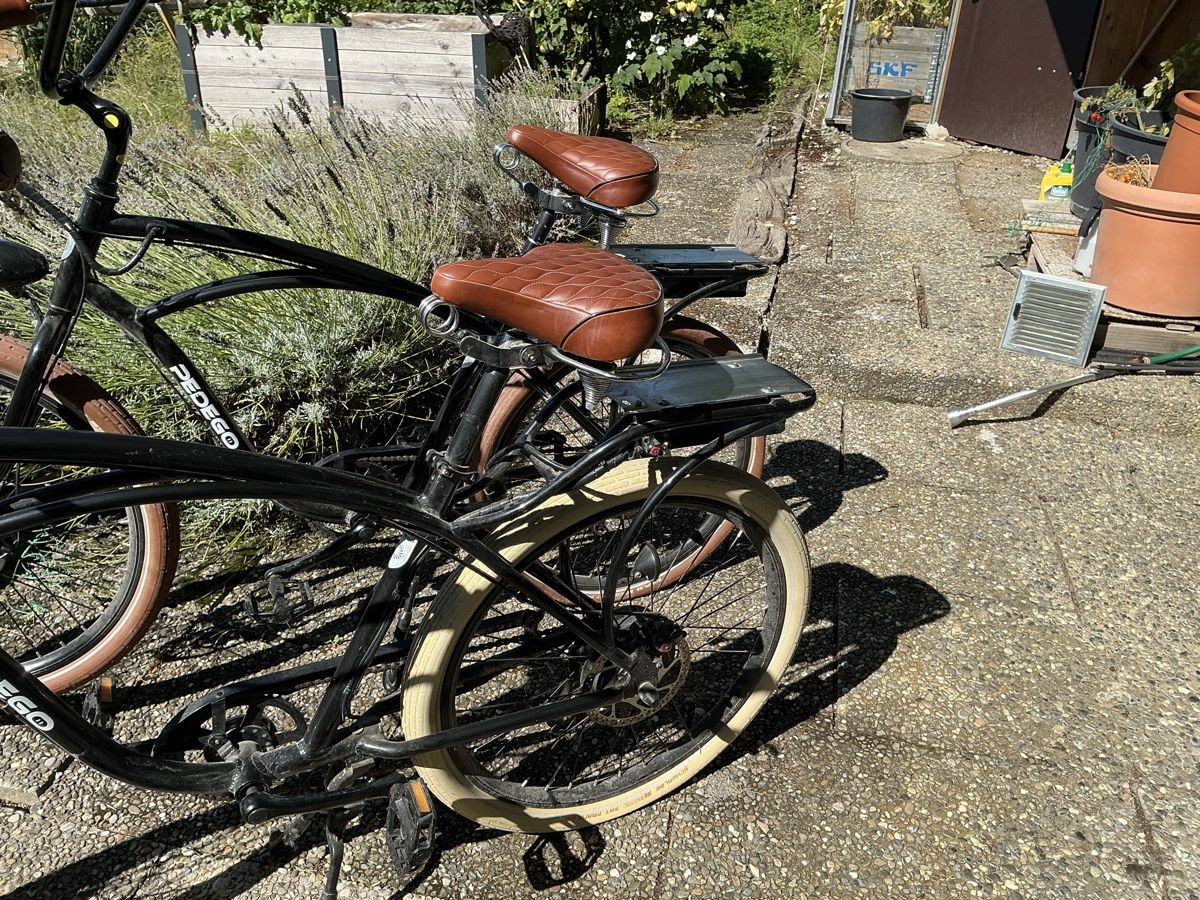 Biciclette: Ebike, Cruiser – Usato da Nussbaumen TG venduto da Hejo1 5