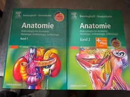 Benninghoff Anatomie Atlas