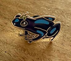 Pin Frosch