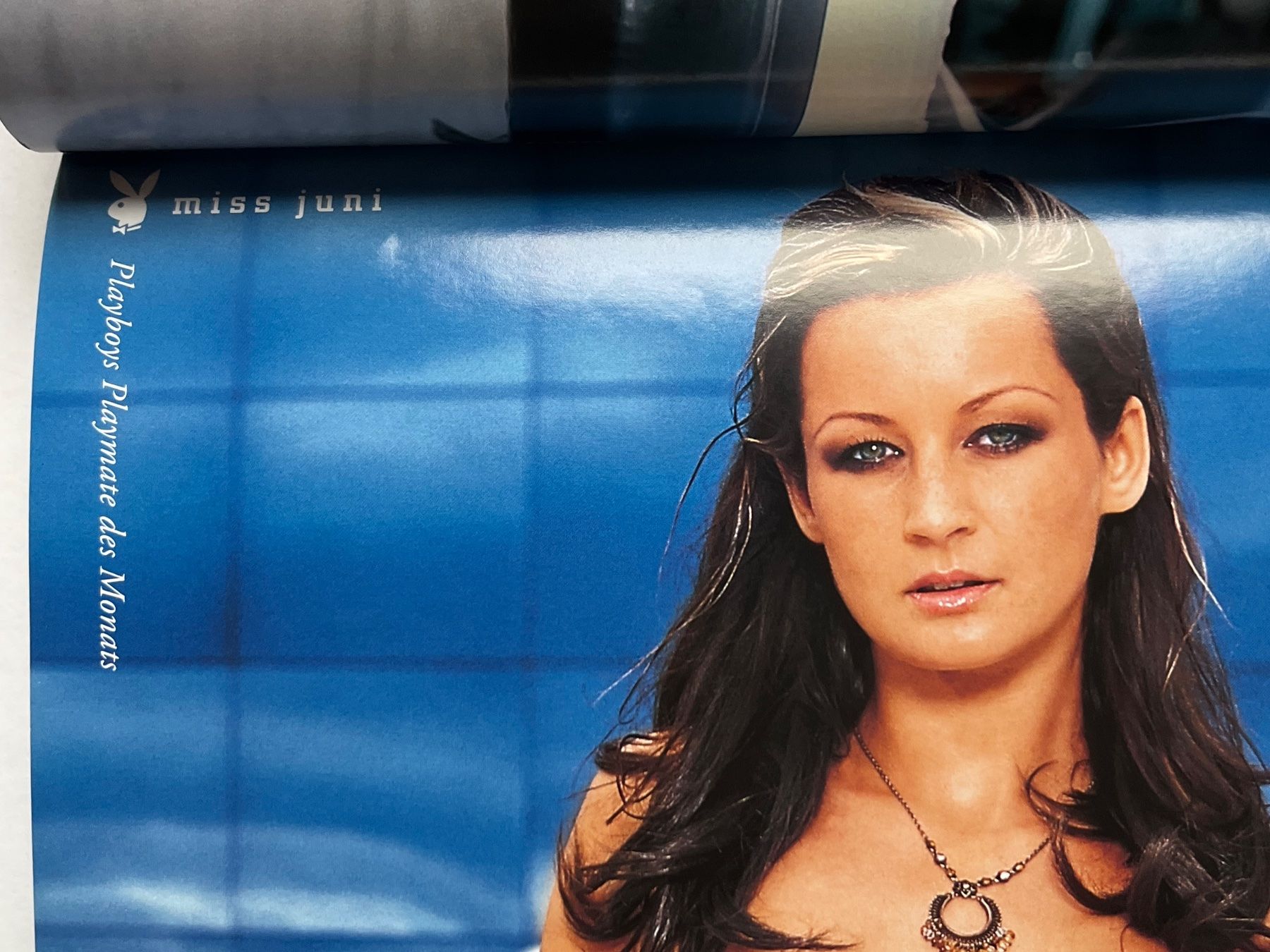 Riviste & Magazine: PLAYBOY Juni 2006 [Versand gratis] – Usato da Aeugst am Albis venduto da Capricornus310 1