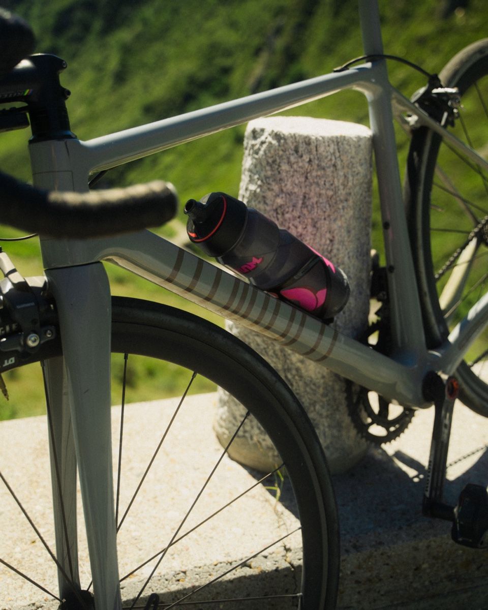 Biciclette: Rennvelo Peter Wyss – Usato da Basel venduto da gia_lt2p 1