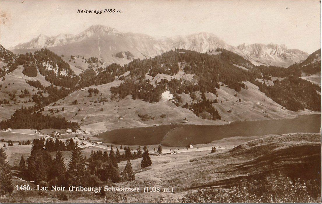 Tutti i francobolli: 1922 Ansichtskarte Schwarzsee ZNr. J18, 34 – Usato da Arlesheim venduto da gaugi43 1