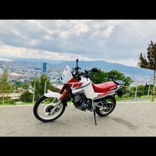 Profile image of Lorenzo595