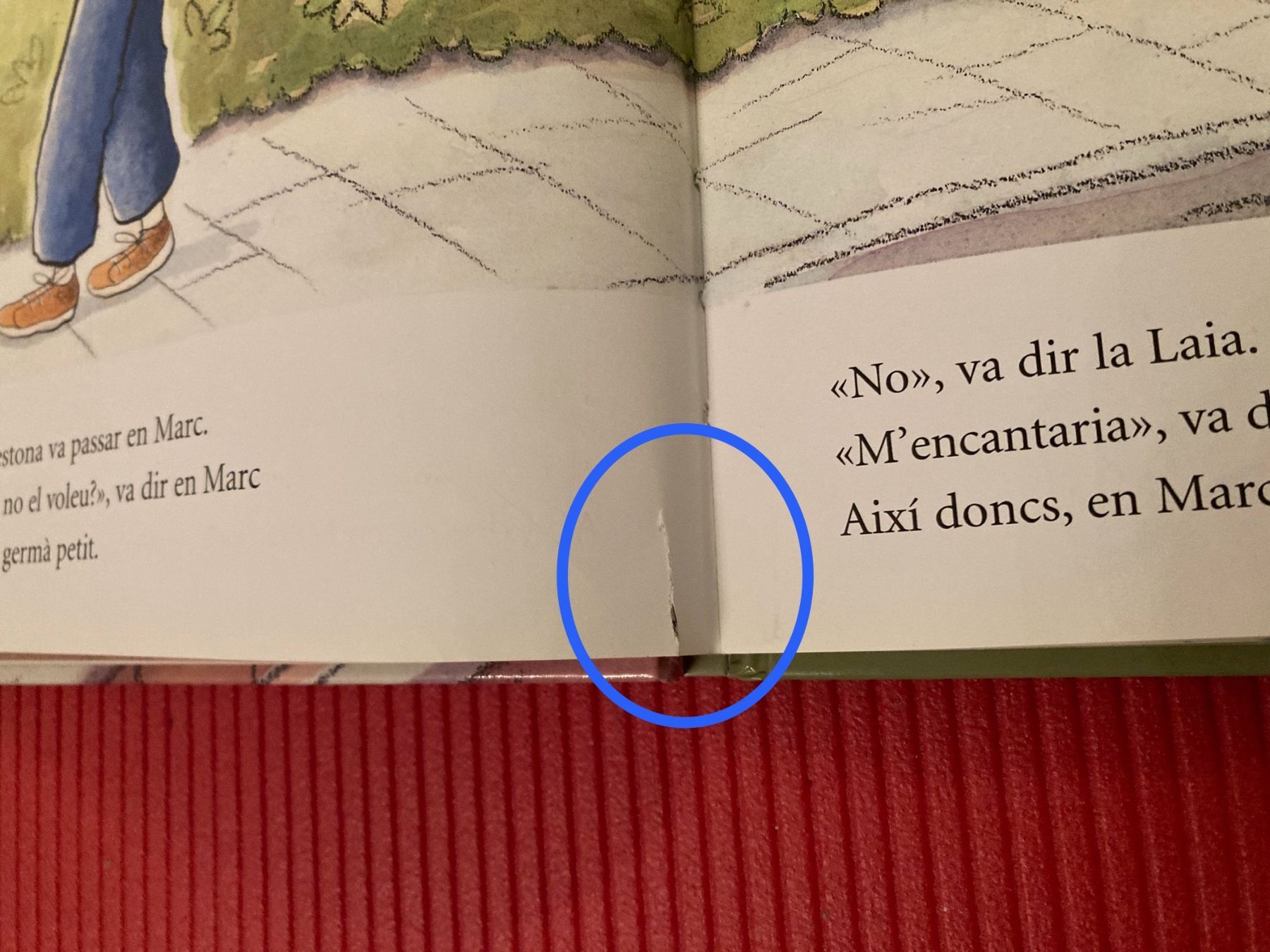Libri: Es ven germà petit – Usato da Küsnacht ZH venduto da PLZoll 5