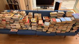 Bücher,  viele Bücher 