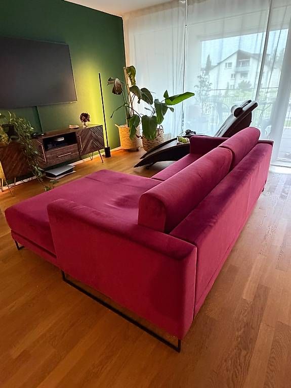 Divani: MYCS Designer Sofa | Brombeerrot – Usato da Malters venduto da M_Karner 3