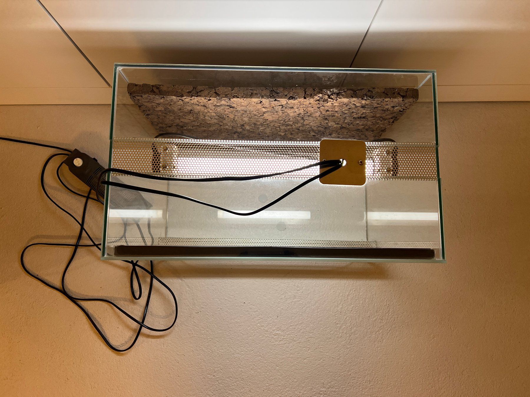 Terrarium: Terrarium B50xT30xH40cm – Gebraucht aus Hohenrain von Anirob 1