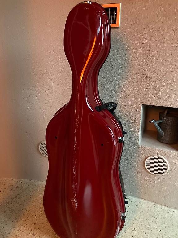 Strumenti musicali: Coffre étui violoncelle Gewa – Usato da Fribourg venduto da mlune01