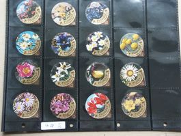 Serie  4 B         Alpenblumen             Gastro