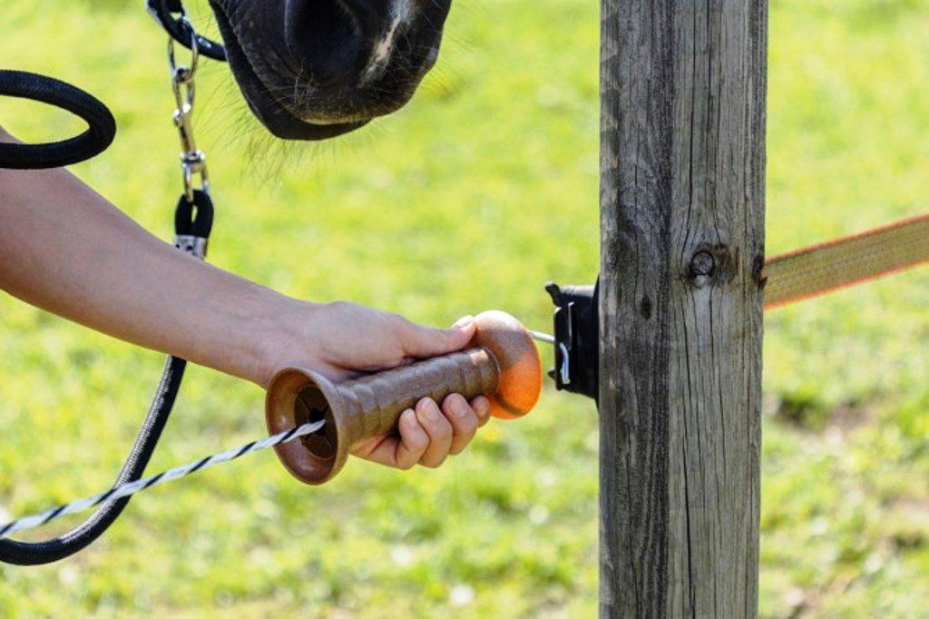 Altre attrezzature per stalle: Weide-Tor Seil oder Band mit Aufroller AKO  Seillänge 6 m – Nuovo e nell'imballaggio originale da St. Gallen venduto da schnaeppchen-preise 4