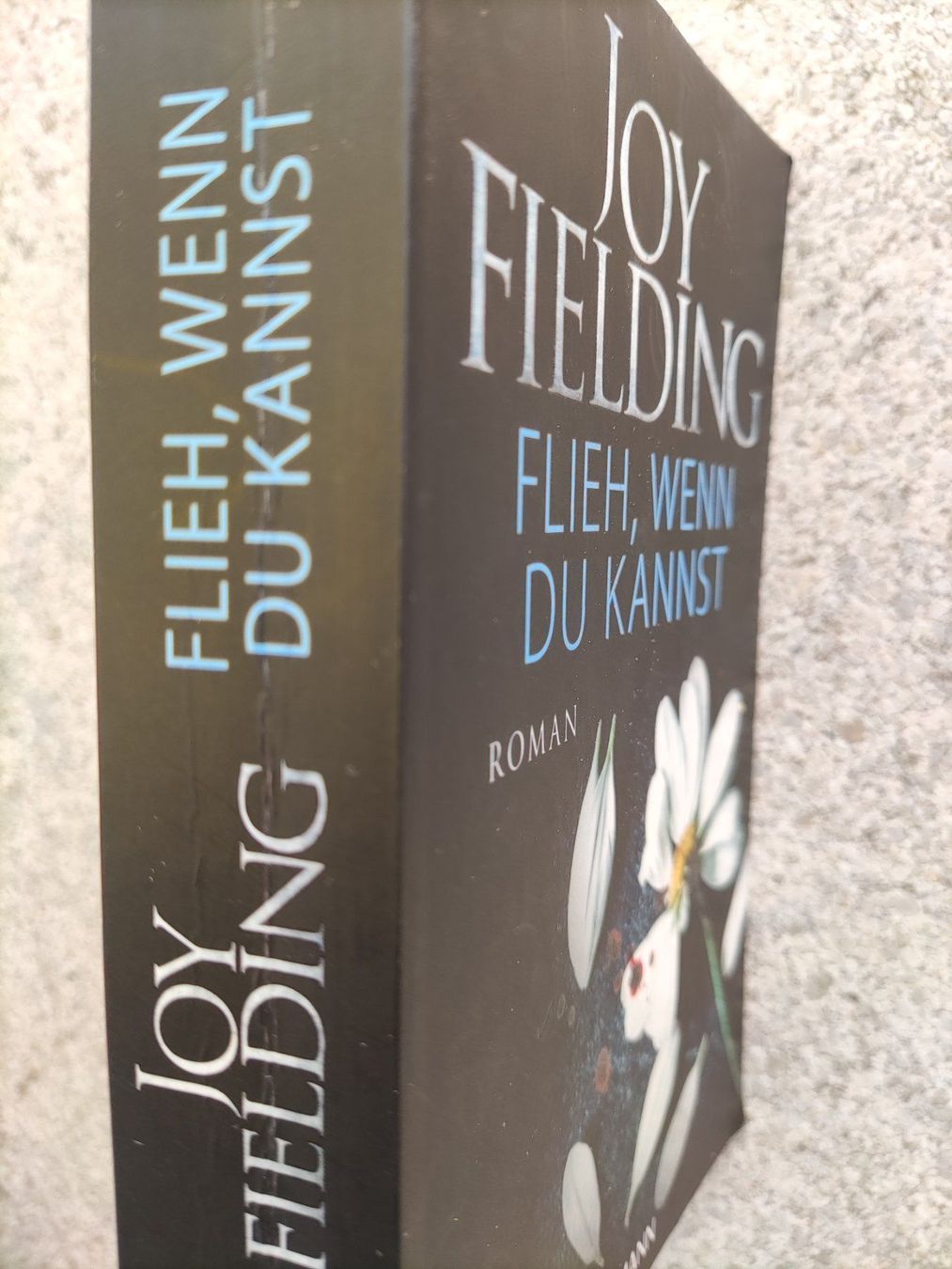 Libri: Joy Fielding Flieh, wenn du kannst – Usato da Basel venduto da Alacant 2