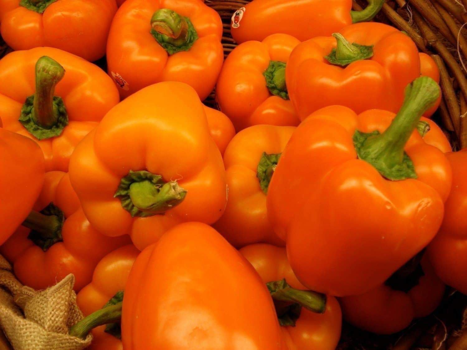 Piante & sementi: 30 Samen Paprika REWIA Orange – Nuovo (secondo la descrizione) da Ehrendingen venduto da VerveinaSamen
