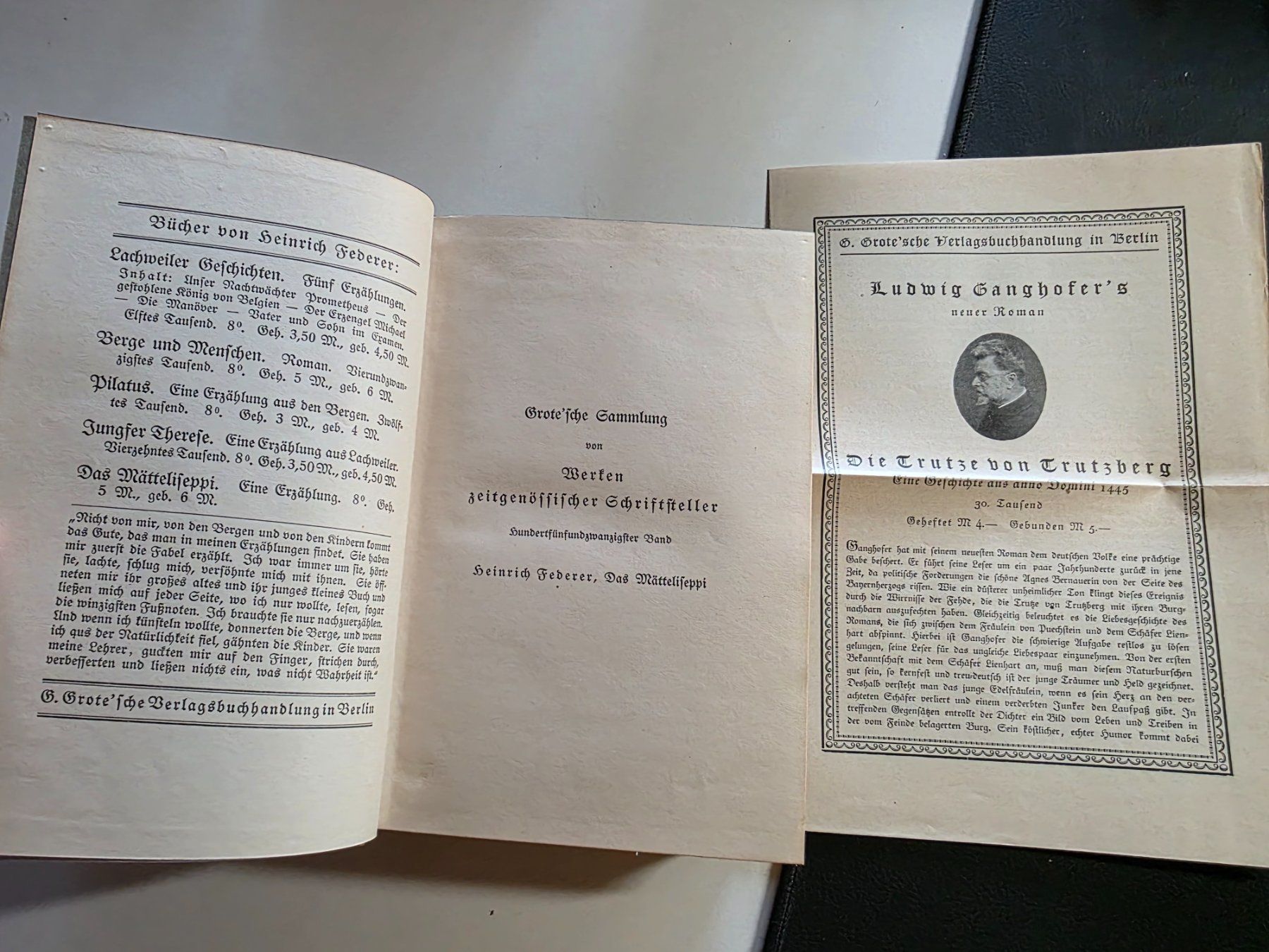 Libri: Heinrich Federer - Das Mätteliseppi - 1916 – Usato da Walterswil BE venduto da Lonitti 4