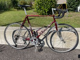 Jan Janssen Tour de France (60cm)