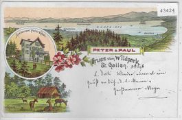Gruss vom Wildpark St. Gallen Peter & Paul - Litho