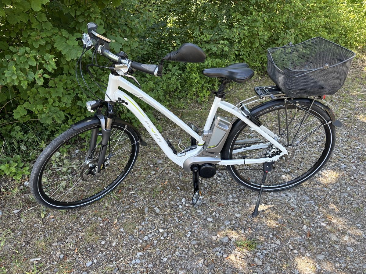 Flyer Biciclette: Flyer 45 km/h – Usato da Kleindietwil venduto da her_d77z 4