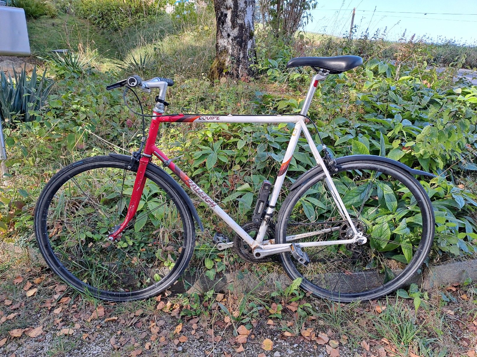Raleigh Biciclette: Raleigh Equipe Rennvelo / vélo de course – Usato da Münchenwiler venduto da Martin_Riedi 5