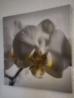 Bilder