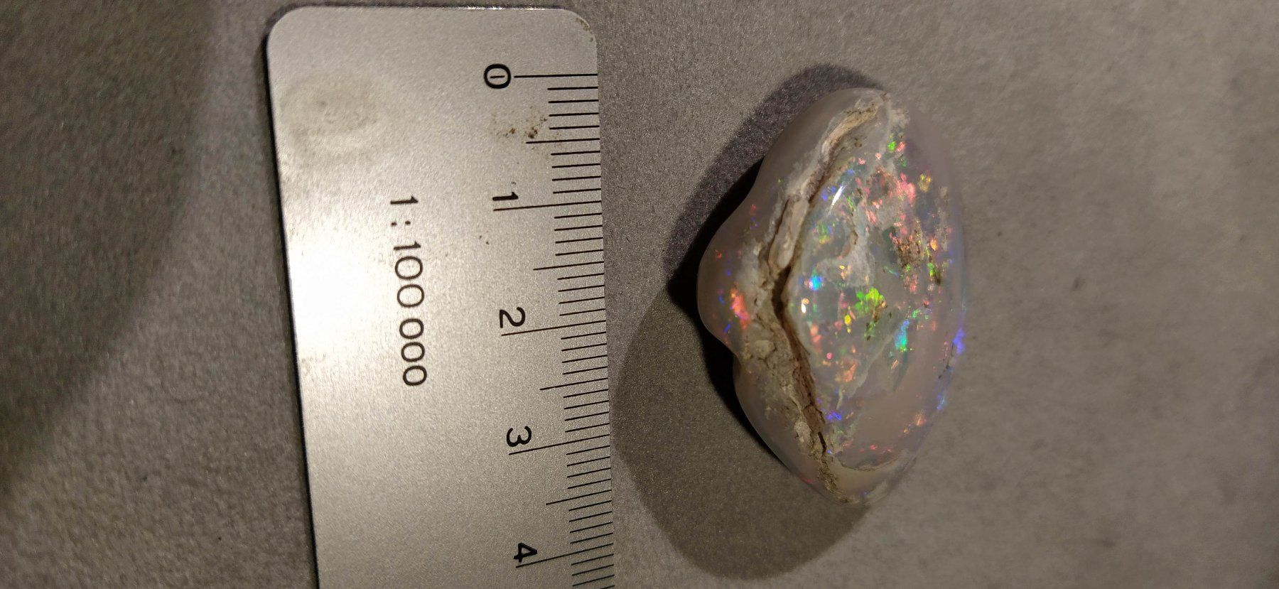 Fossili: Opalisierte Muschel – Nuovo (secondo la descrizione) da Dieterswil venduto da Opal66 4
