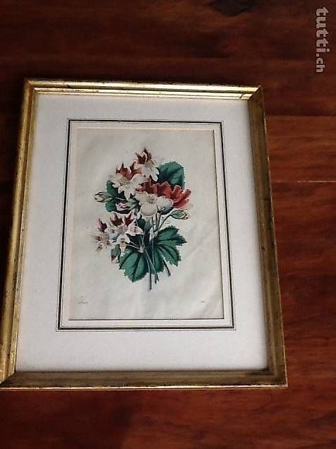 Incisioni: Originalstahlstich Blumenmotiv – Usato da Riniken venduto da ruenzi